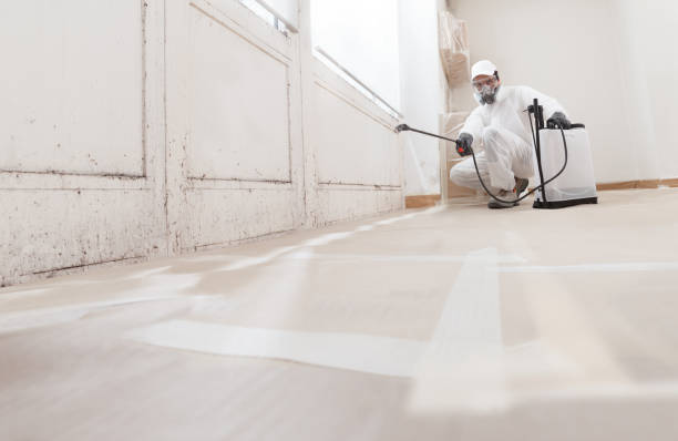 24/7 Emergency Black Mold Remediation experts in Catharpin, VA