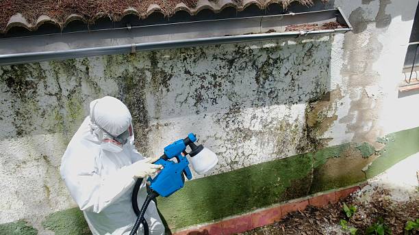 Top rated local Black Mold Remediation specialists in Catharpin, VA